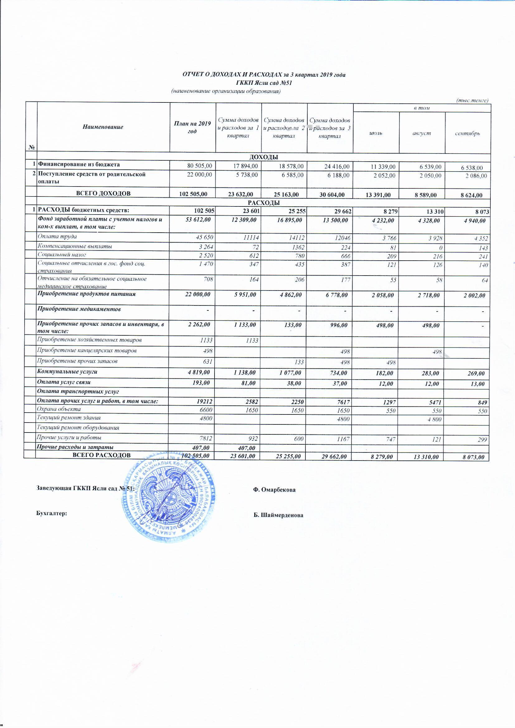 Отчет о доходах и расходах