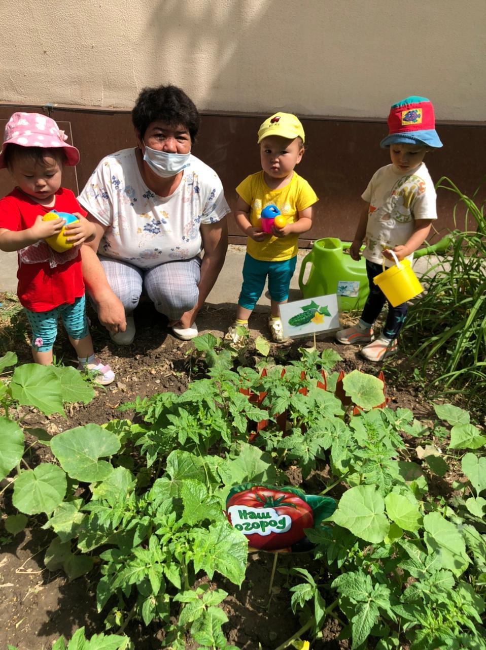 Біздің бақшамыз