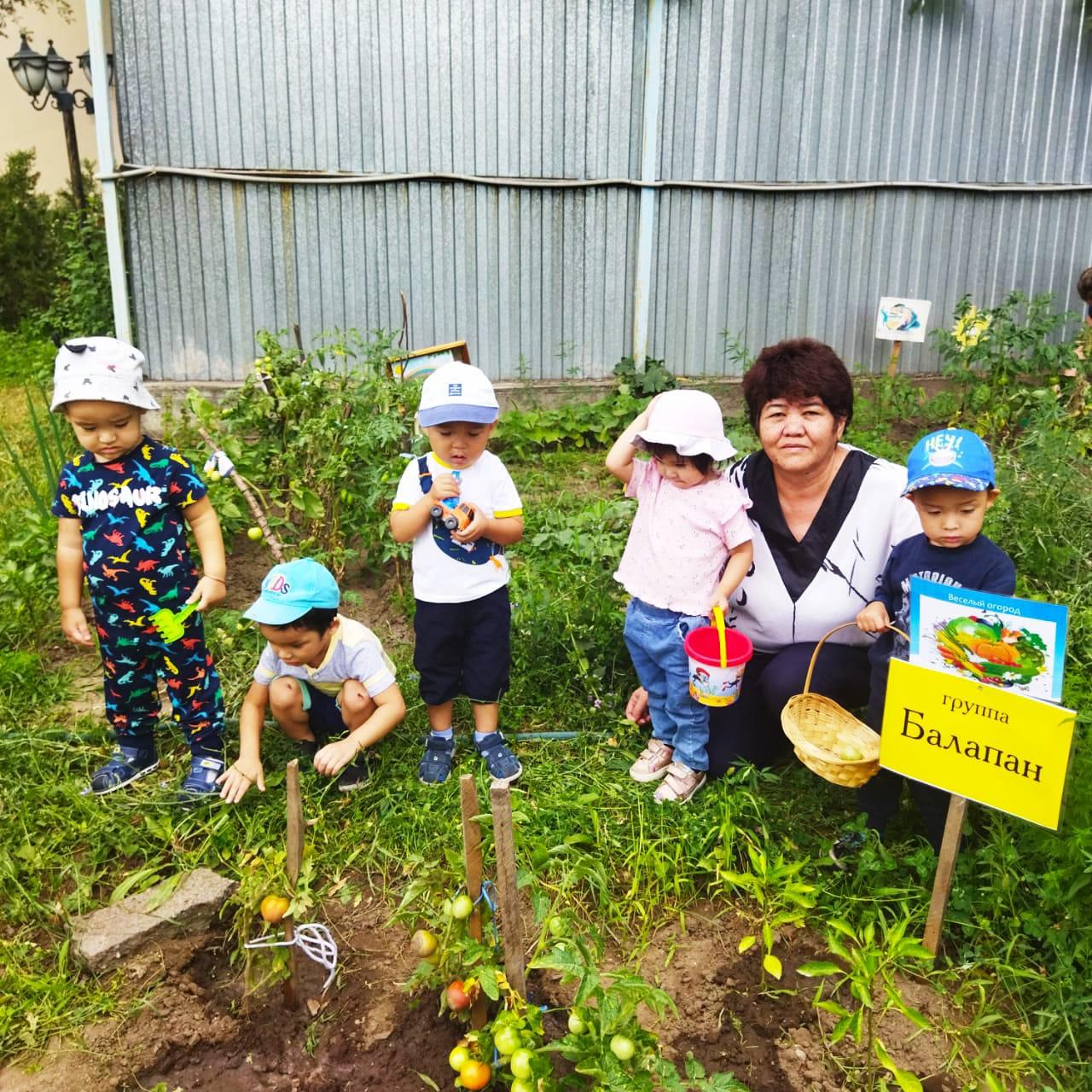 Бау бақшамыз